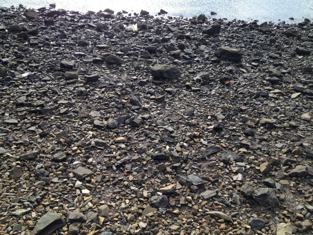 Rocky beach