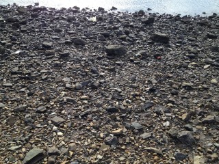 Rocky beach