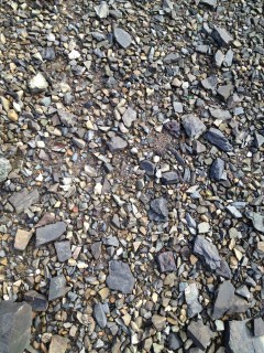 Rocks