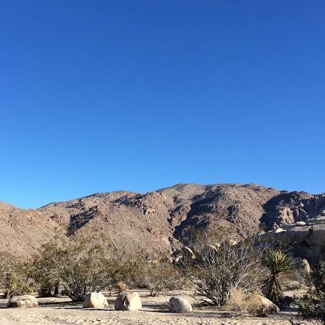 Beautiful dry warm perfect desert camping, first time to Joshua Tree