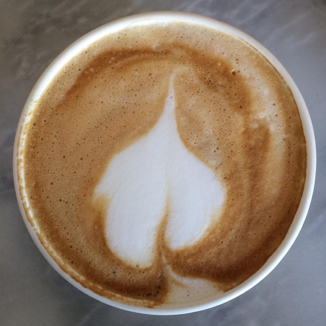 Bhodi tree leaf latte