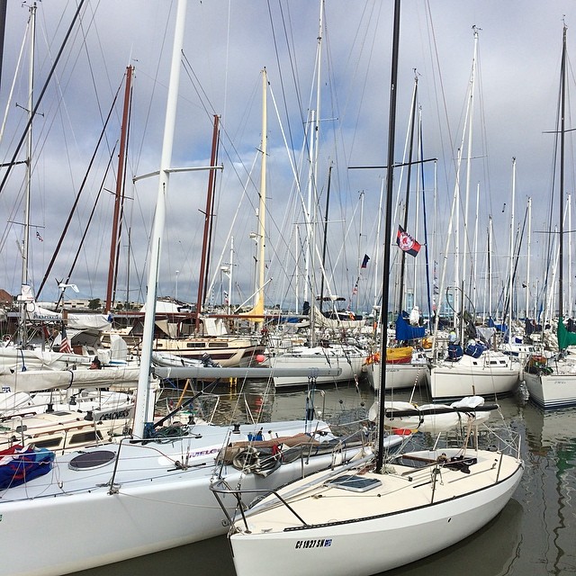 Day 2 of the Great Vallejo Race