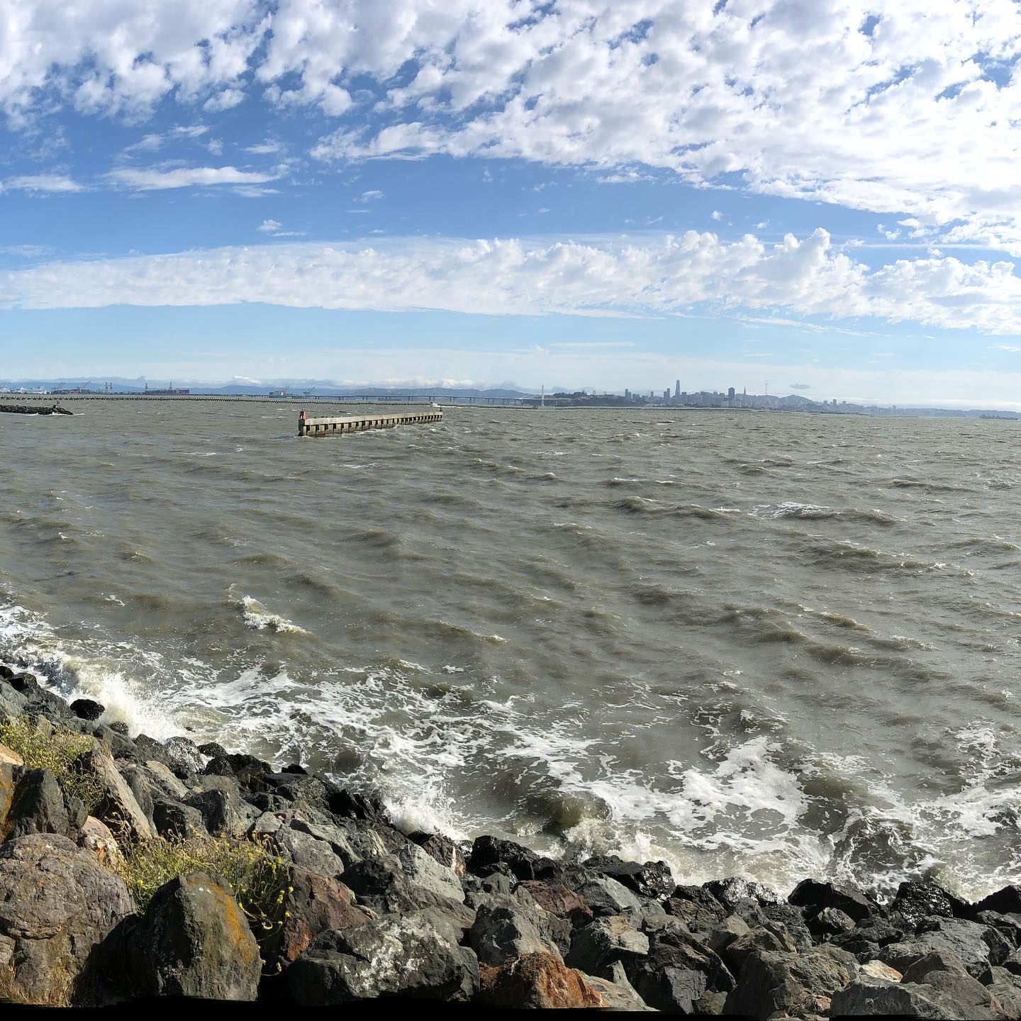 Gorgeous breeze on Friday afternoon at the Berkeley Marina.