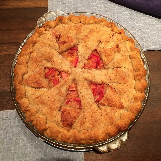 Mom's first rhubarb pie of the year! :D