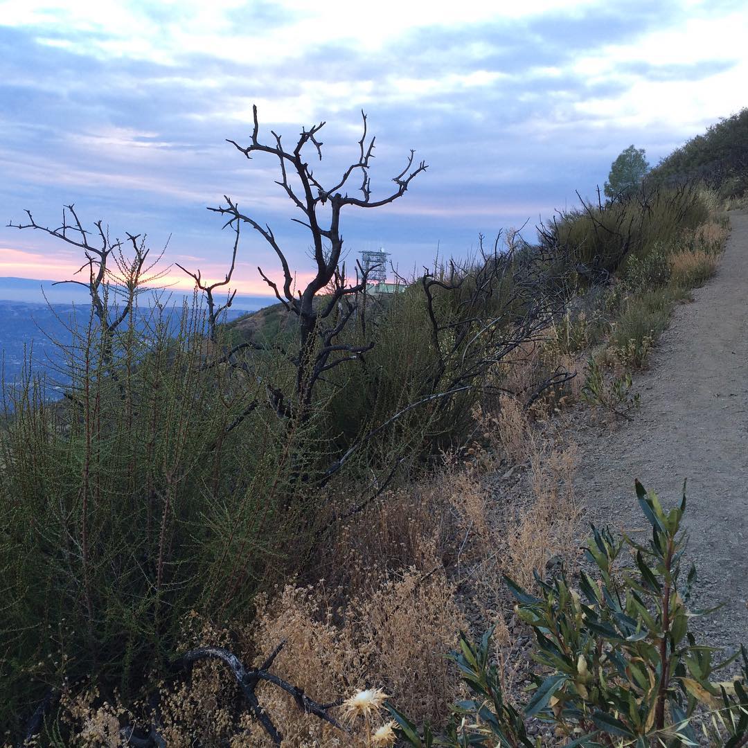 / Mt Diablo research project – hiking with Emily
