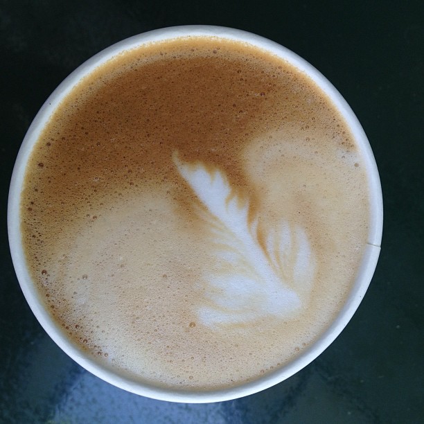 Succulent latte